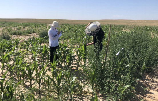 图片1_meitu_1.jpg 图片1_meitu_1.jpg